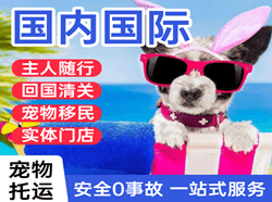 白山长白山空运地址国际宠物托运 【国